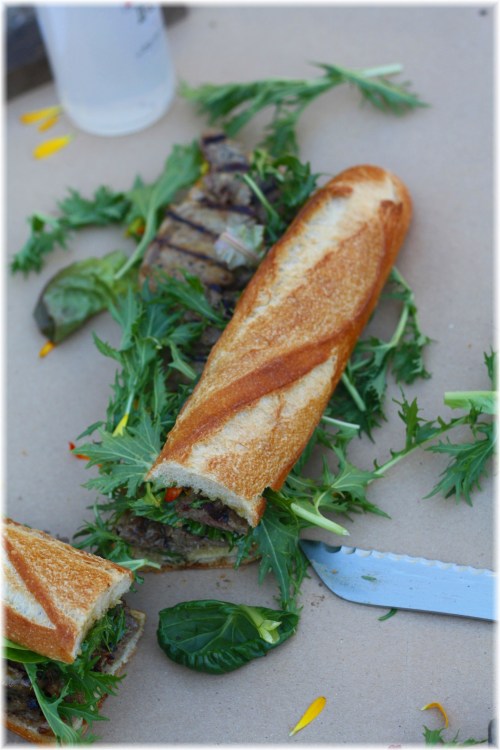 img_5789a1 img_5789a1